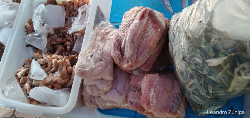 FERIA1